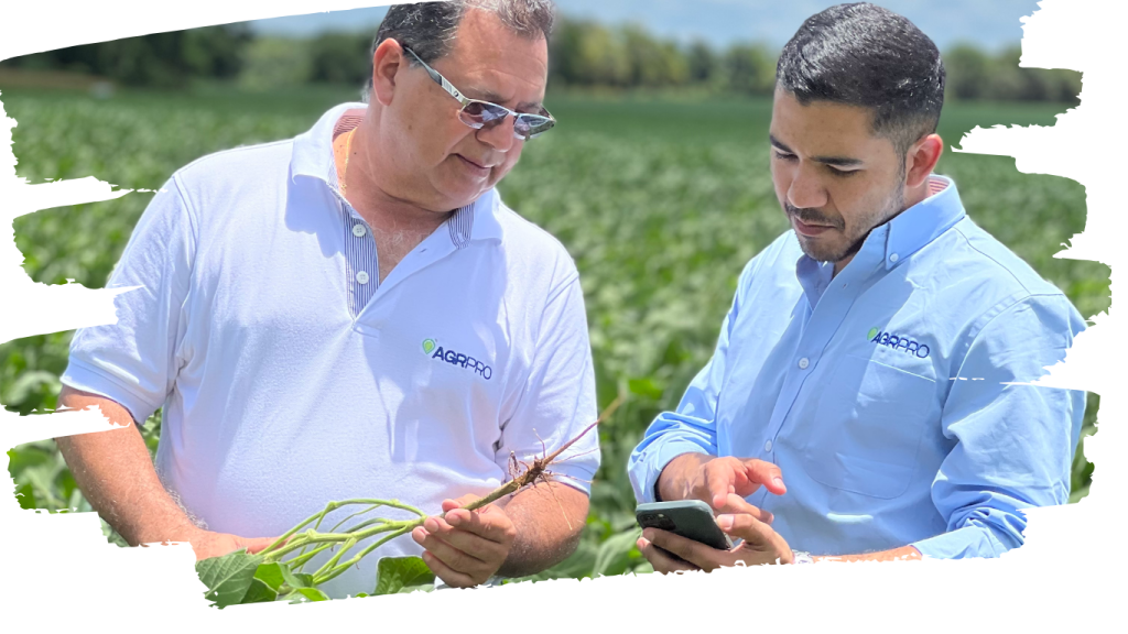 Padre e hijo en el campo - Método AGR PRO de análisis de suelo para alto rendimiento